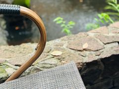 -Golden Lily河内巴黎法越料理餐厅(建国西路店)