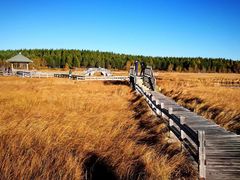 -塞罕坝国家级自然保护区