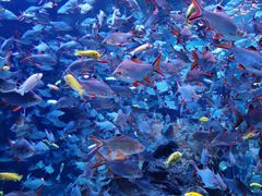 -成都浩海立方海洋公园