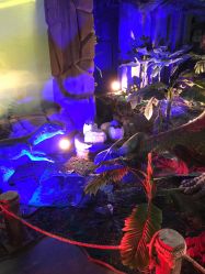 -恐龙探索乐园(磁器口店)