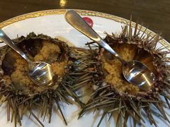 -红叶日料·放题·海胆·定食(星海店)