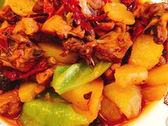 -巴依老爷新疆美食(牡丹园店)