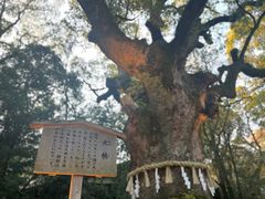 -热田神宫