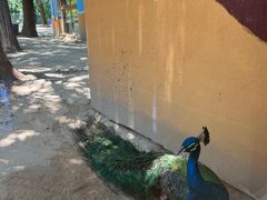 -宁波九龙湖开元度假村