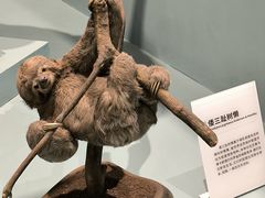 -国家自然博物馆