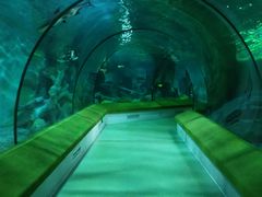 -福州罗源湾海洋世界旅游区