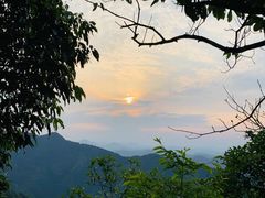 -午潮山国家森林公园