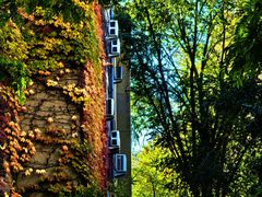 -婕妮璐超市 Jenny Lou’s Shop(三里屯店)