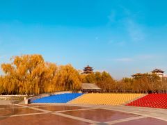 -莲花池公园