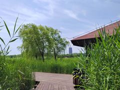 -永定河休闲森林公园