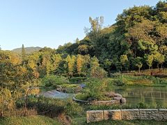 -云溪植物园