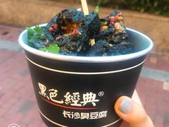 -黑色经典臭豆腐·湖南特产(潇湘文化店)