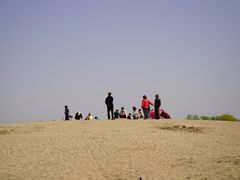 -东郊湿地公园