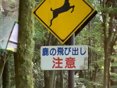 -奈良公园