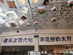 -君乐宝优致牧场