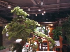 -丹江渔村(首都机场店)