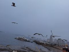 -星海广场