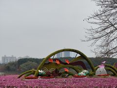 -海珠湖公园