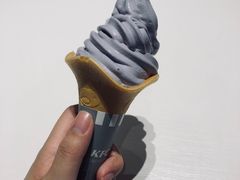 -肯德基(东安路站店)