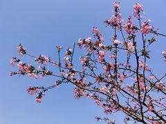 -黄兴公园