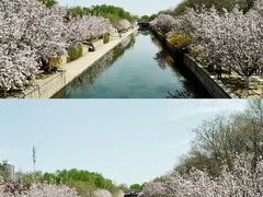 -海棠花溪(元大都城垣遗址公园)