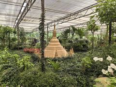 -南宫五洲植物乐园