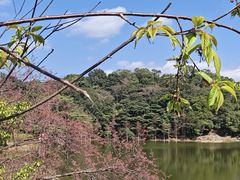 -广州市石门国家森林公园