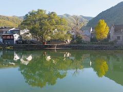 -鹿亭中村