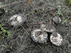 景点-汉长安城未央宫国家考古遗址公园