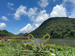 -广州市石门国家森林公园