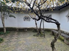 -沧浪亭