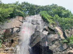 -宴全牛粤来越牛潮汕鲜牛肉火锅(海州万达广场店)