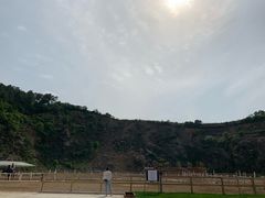 -枫露马术学院(藏书校区)