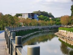-长洲岛