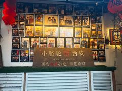 -福苗小骆驼烧烤(莲湖路店)