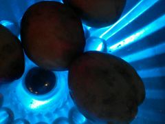android_upload_pic-印象三宝潮汕鲜牛肉火锅烤肉(个体大世界店)