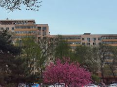 -和平门菜市场