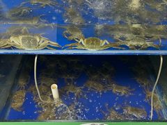 -阳澄湖大闸蟹·琼灵阁牌品牌连锁(吴中总店)