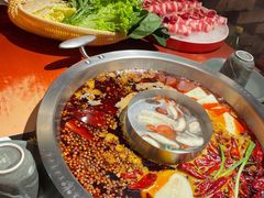 -新辣道鱼火锅(领展购物广场·中关村店)