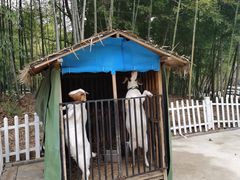 -天目湖涵田度假村
