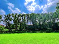-申粤轩酒楼·三十年粤菜经典(丁香花园店)