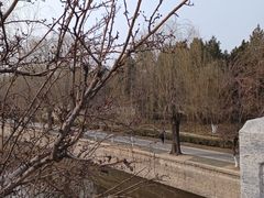 -元大都城垣遗址公园