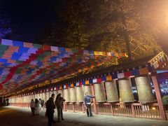 -云南民族村