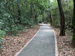 -广州市白云山风景名胜区