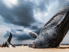 -烟台金沙滩海滨公园