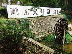 -宁波浙东大竹海景区