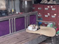-飞霞风景名胜区