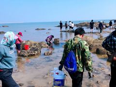 -巧克力渔家.小船海鲜胶东菜(万平口店)