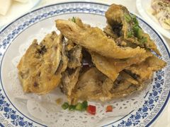 -寻味顺德·南记酒家·传统顺德菜·鱼生(广源路店)