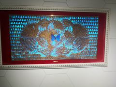 -上海昆虫博物馆